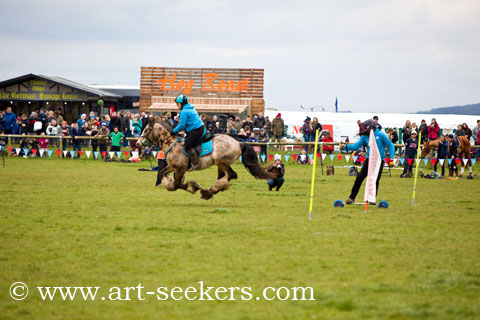 Horse Boarding 2018 Championships 1459.jpg