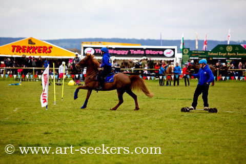 Horse Boarding 2018 Championships 1470.jpg Horse Boarding 2018 Championships 1470.jpg