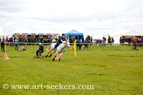 Horse Boarding 2018 Championships 1482.jpg Horse Boarding 2018 Championships 1482.jpg