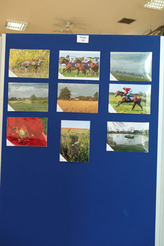 MCDX0098.jpg MCDX0098.jpg