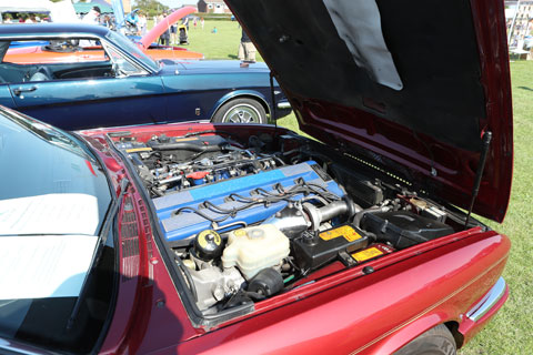 MCDX0232.jpg MCDX0232.jpg