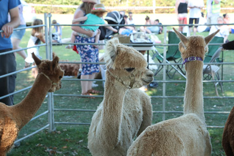 MCDX0249.jpg MCDX0249.jpg