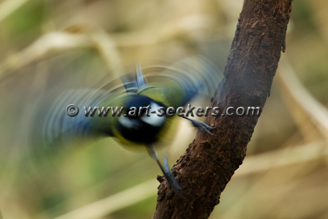 IMG 0138.jpg IMG 0138.jpg