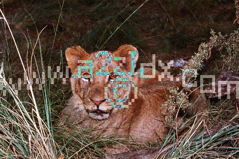 Digitally enhanced image to allow increased resolution / larger prints