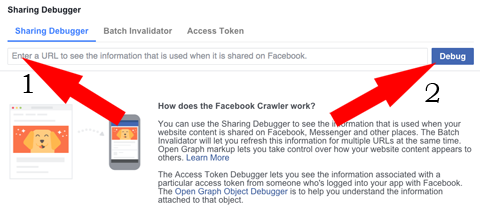 Example of Facebook sharing debugger page